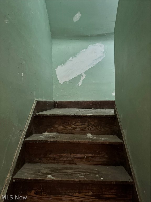 Picture 37