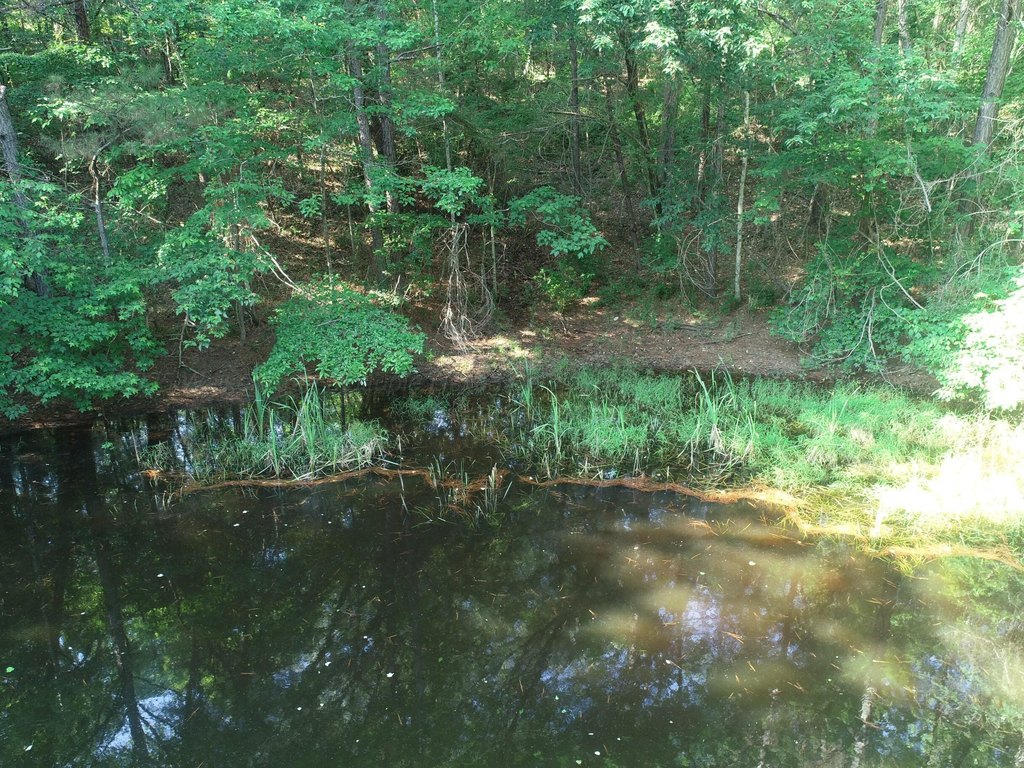 Picture 11