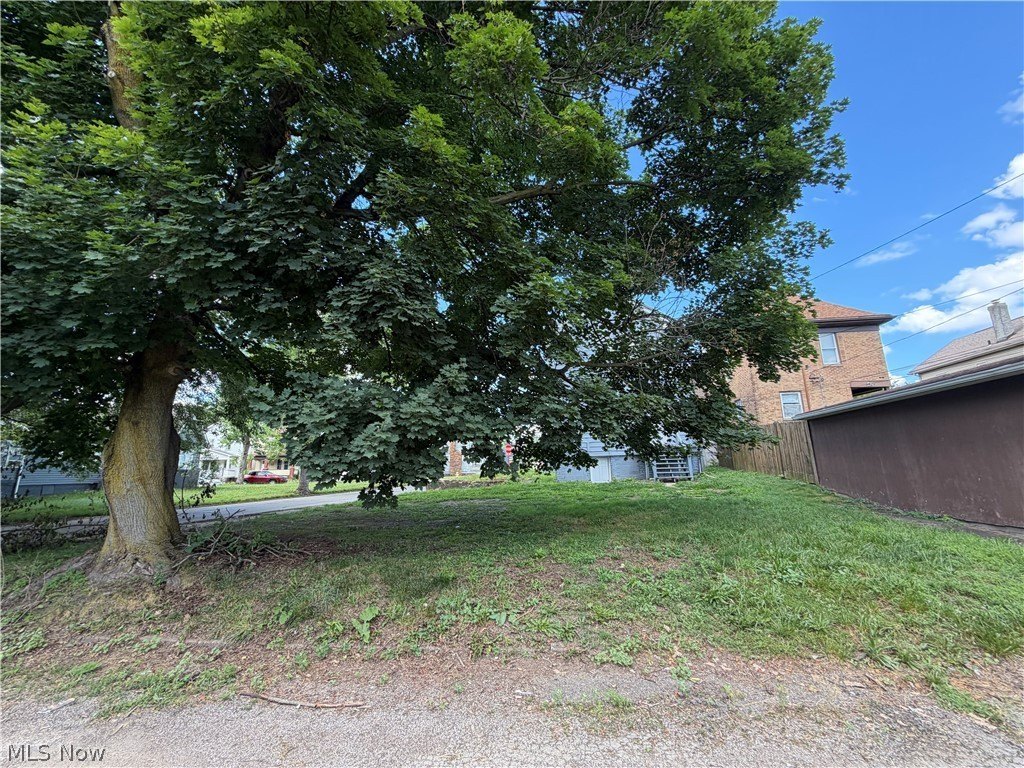 Picture 28