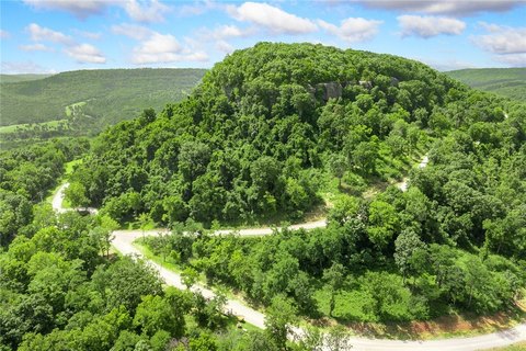 Residential Lot in Harrison, AR
