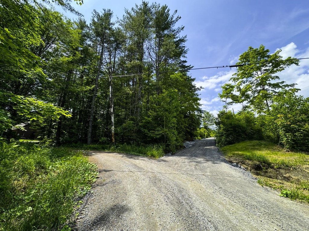 Picture 15