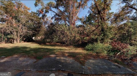 Picture of Land at Cornwall St 1036, Savannah, GA