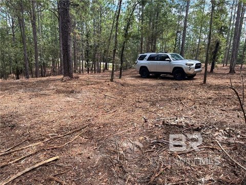 Estate Lots in Timber Ridge