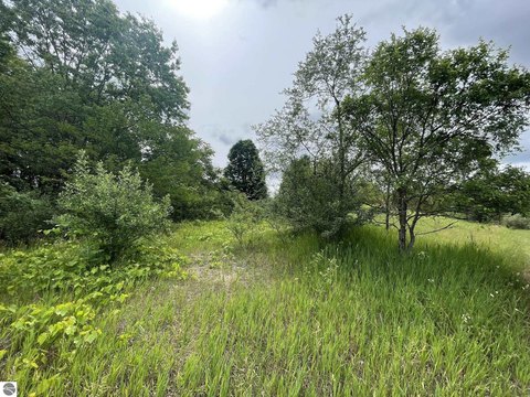 Vacant Lot/Land - Traverse City, MI