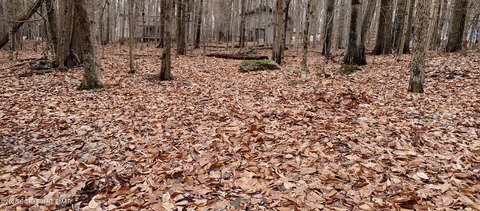 Residential Land in Locust Lake
