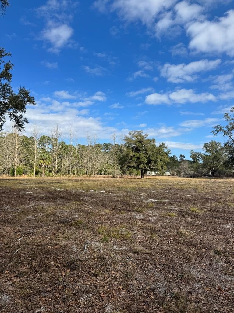 Cleared Land on Highway 349