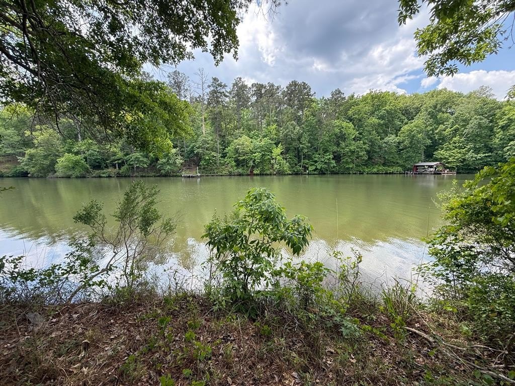 Lake Sinclair Waterfront Land