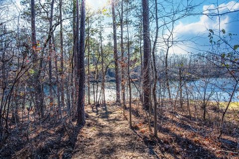 Lake Sinclair Waterfront Land