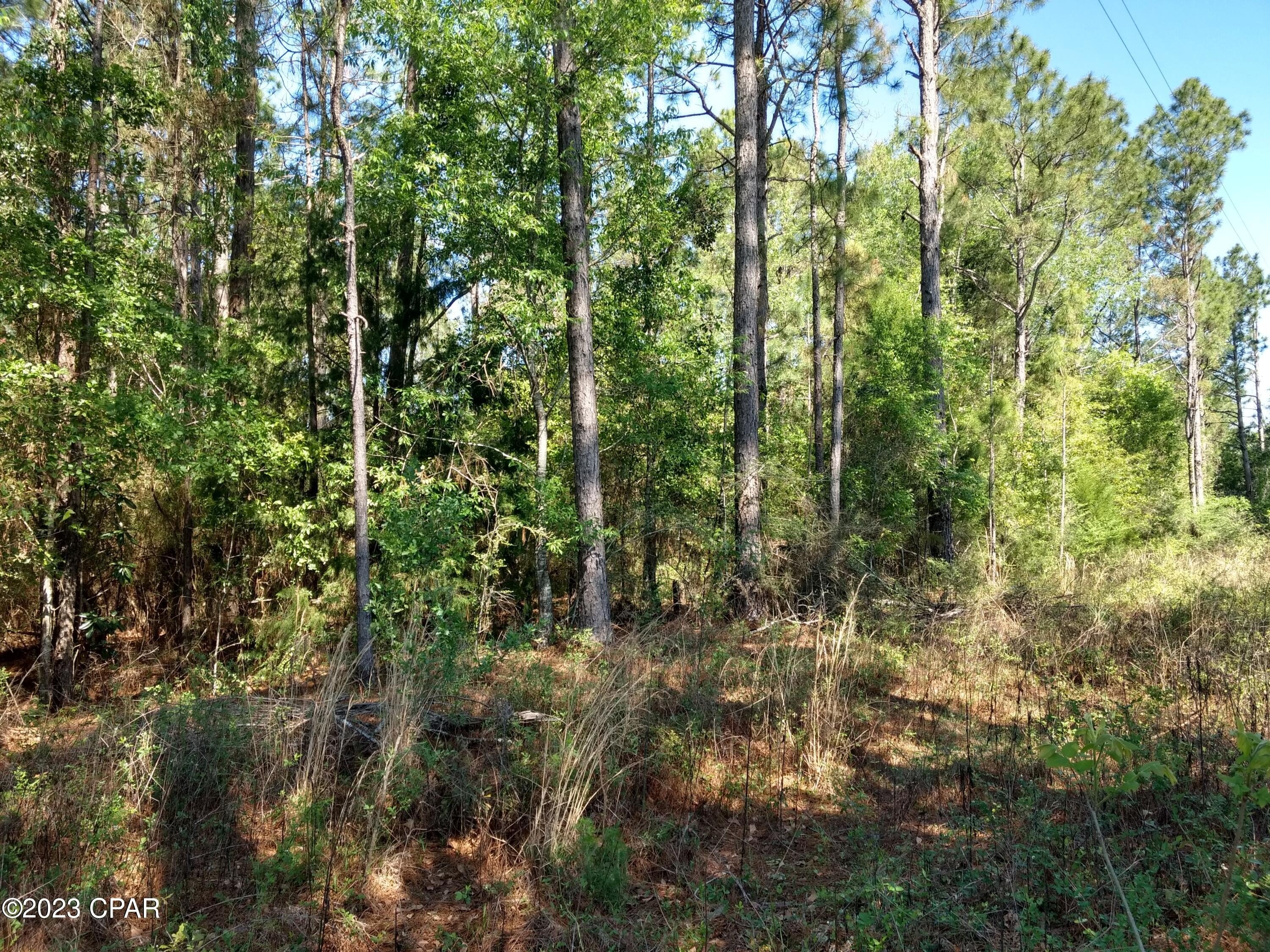 Land on Golf Course Fairway