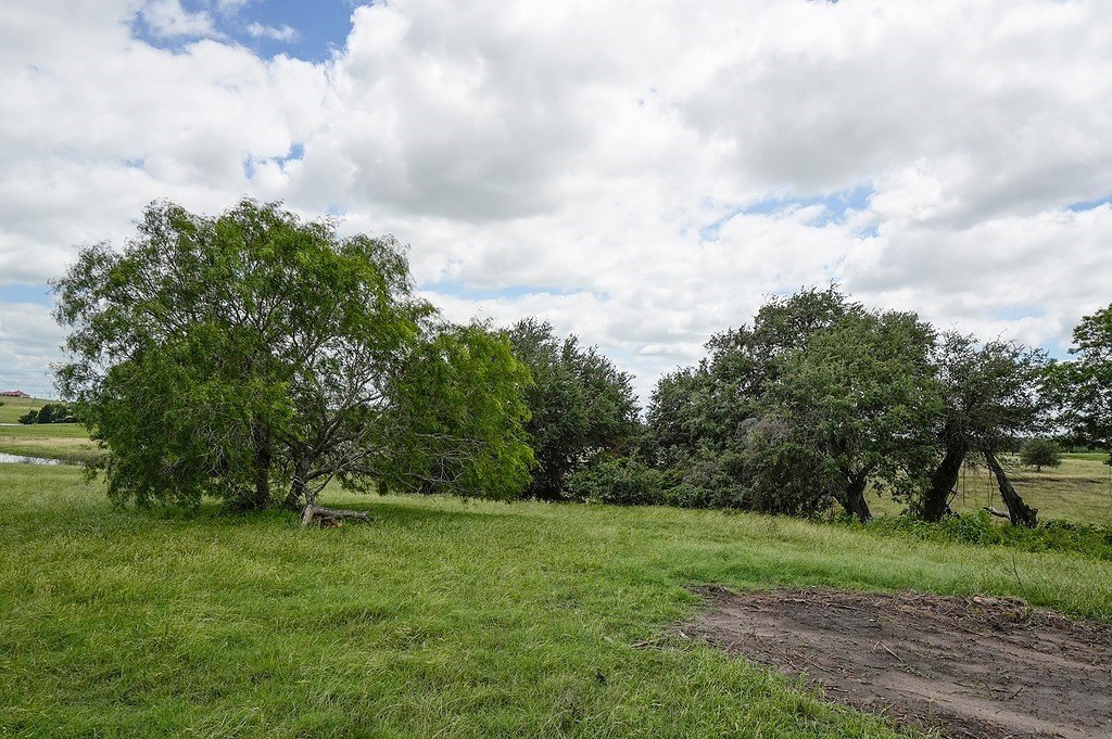 Picture 9