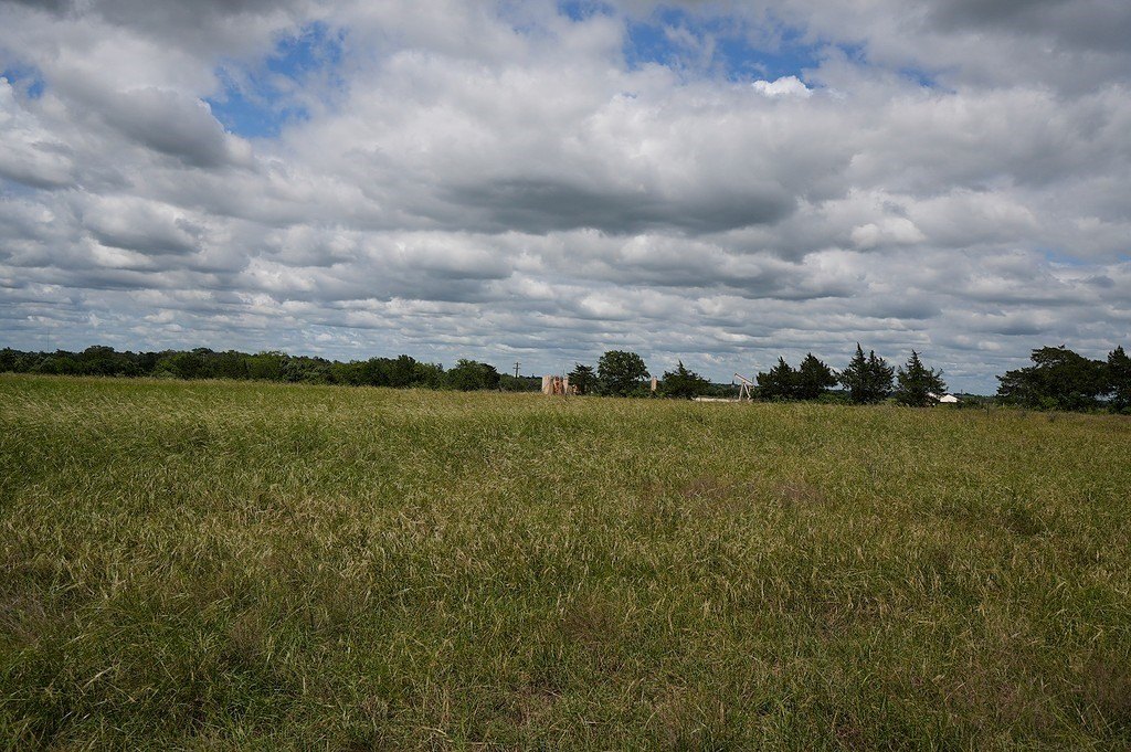 Picture 4