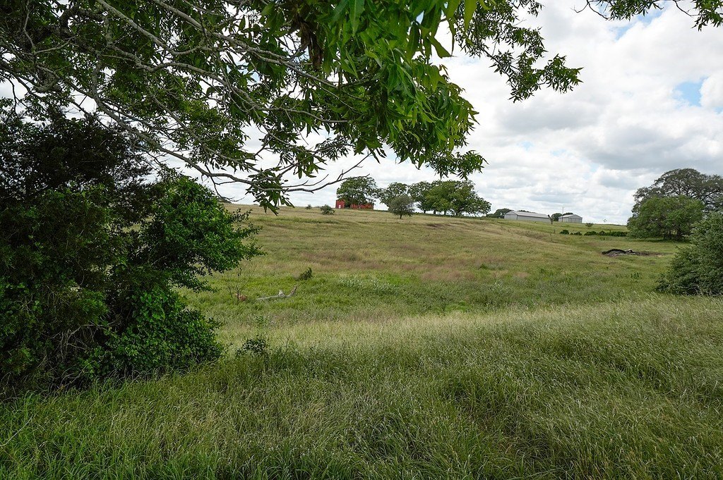 Picture 8