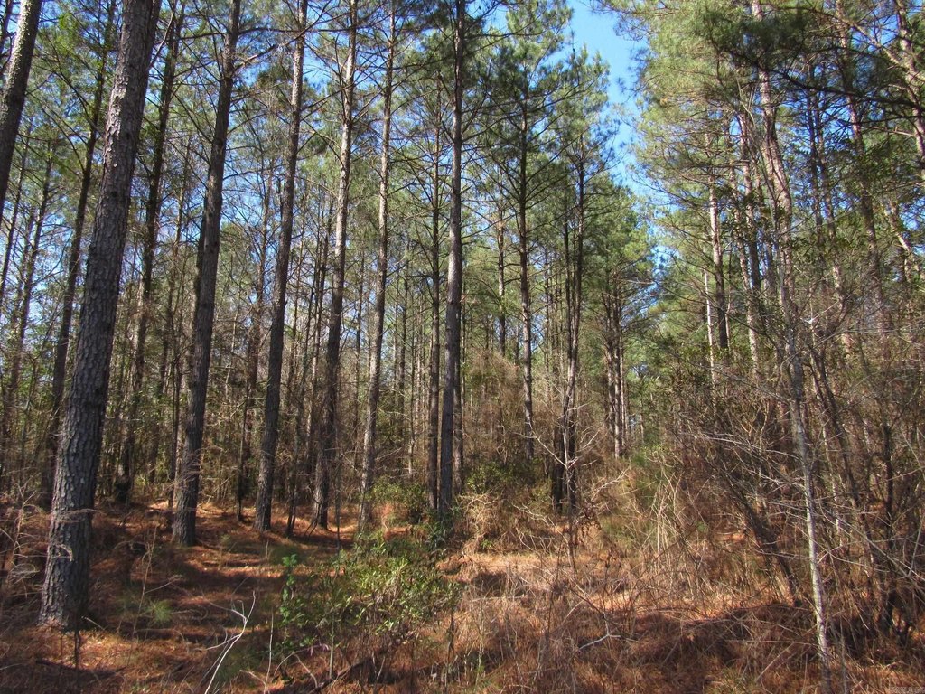 Picture 25