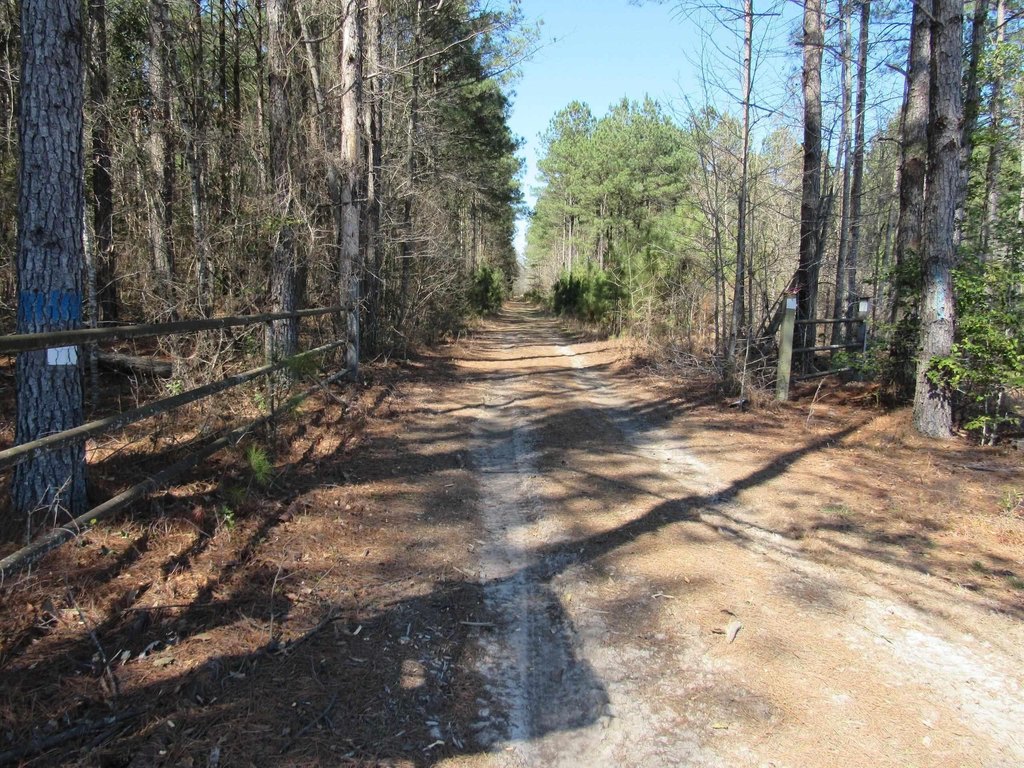 Picture 24