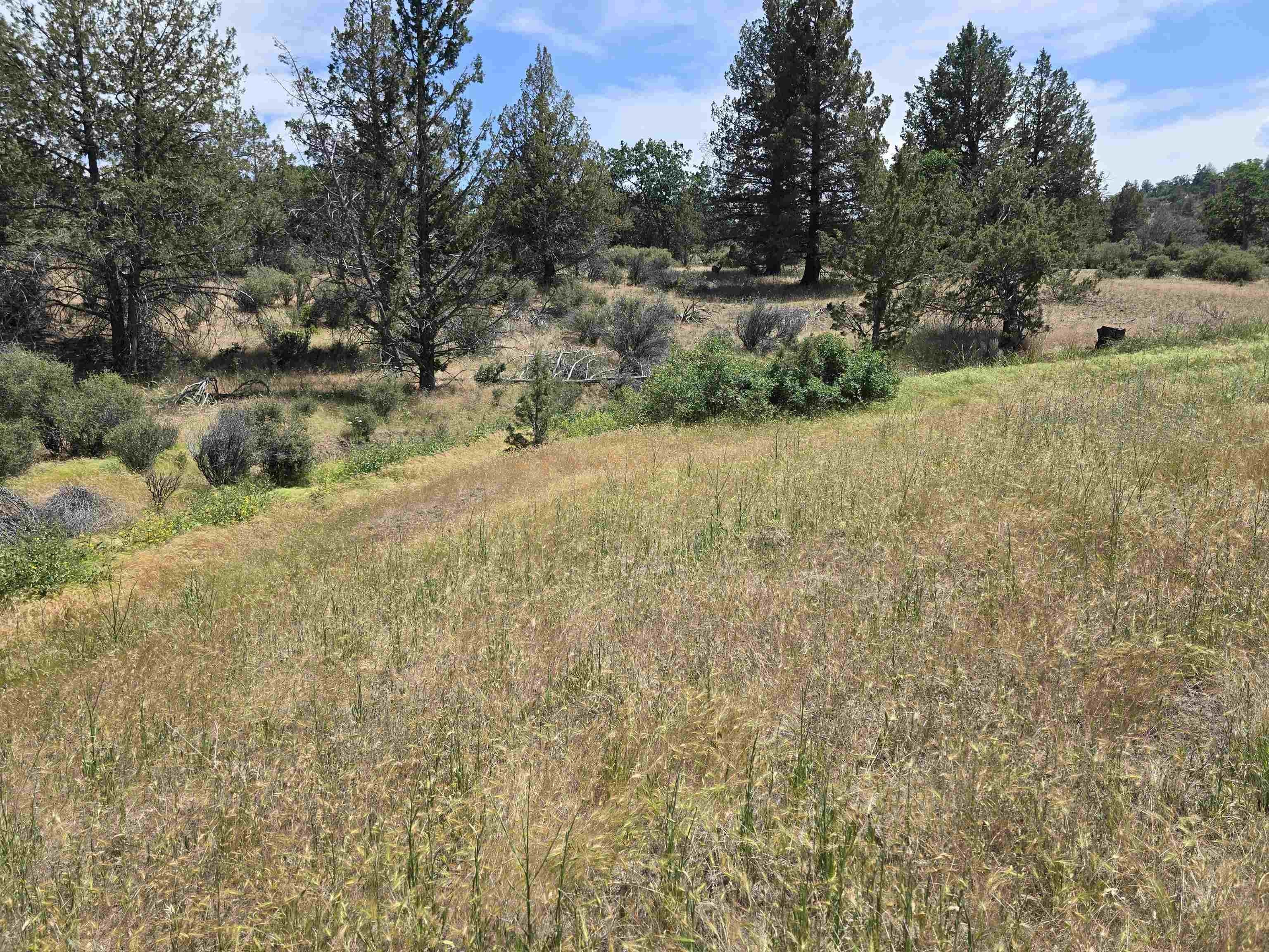 Land with Mountain Views