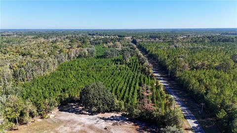 59 Acres Between Nahunta and Folkston