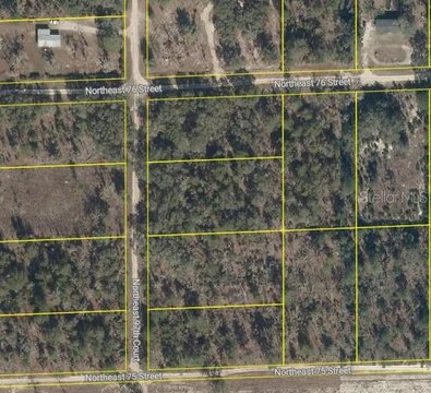 Vacant Land in Bronson, FL