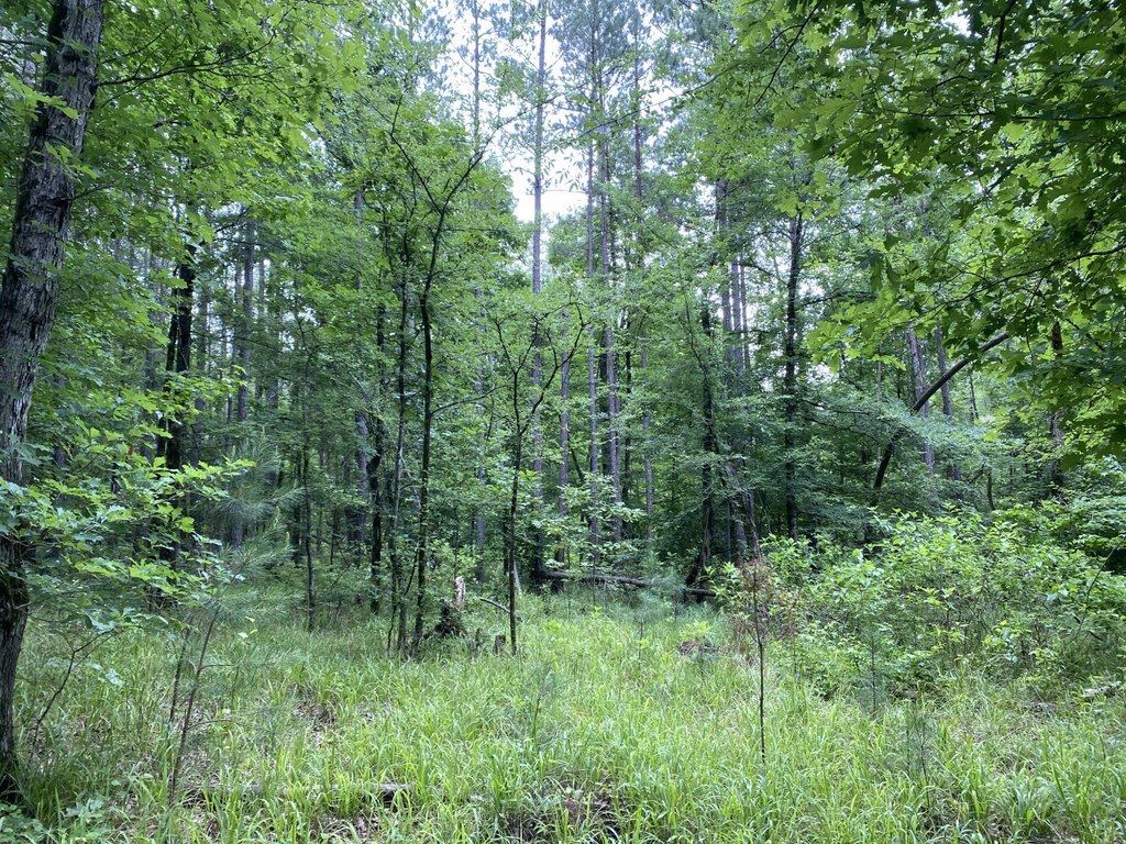 Picture 43