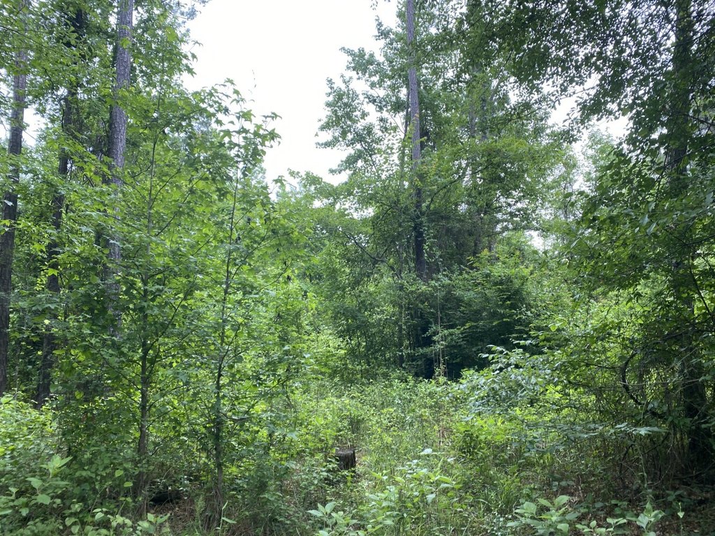 Picture 40