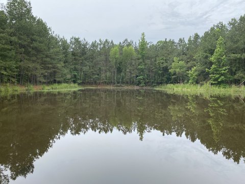Recreational Timberland with Ponds