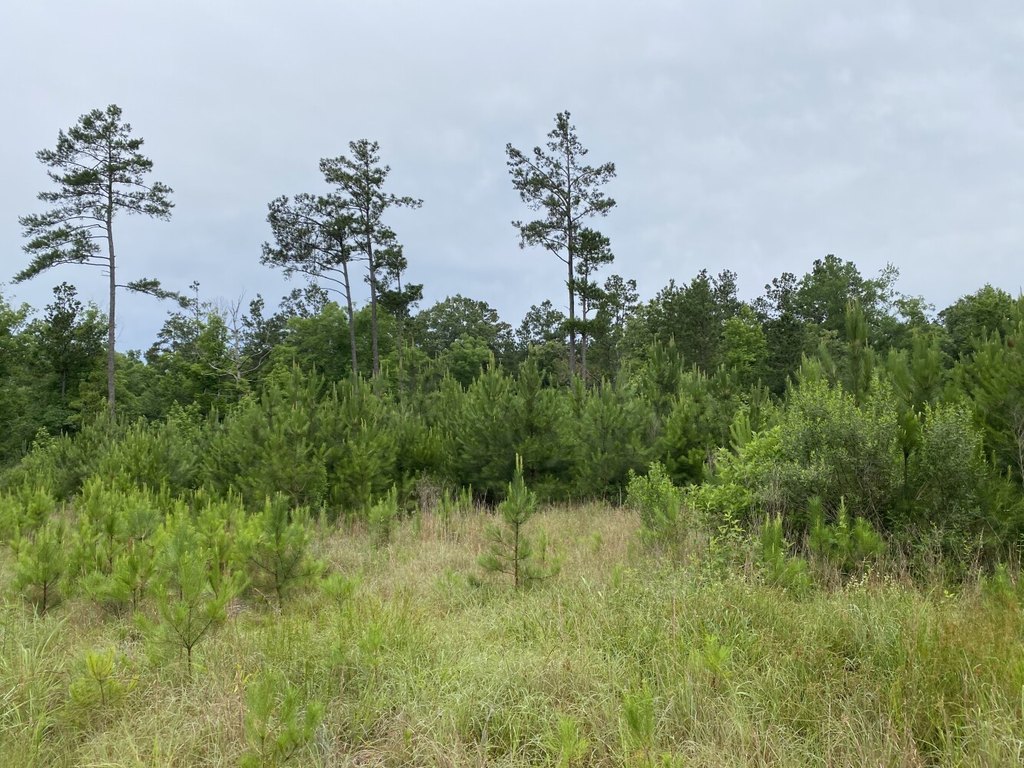 Picture 28