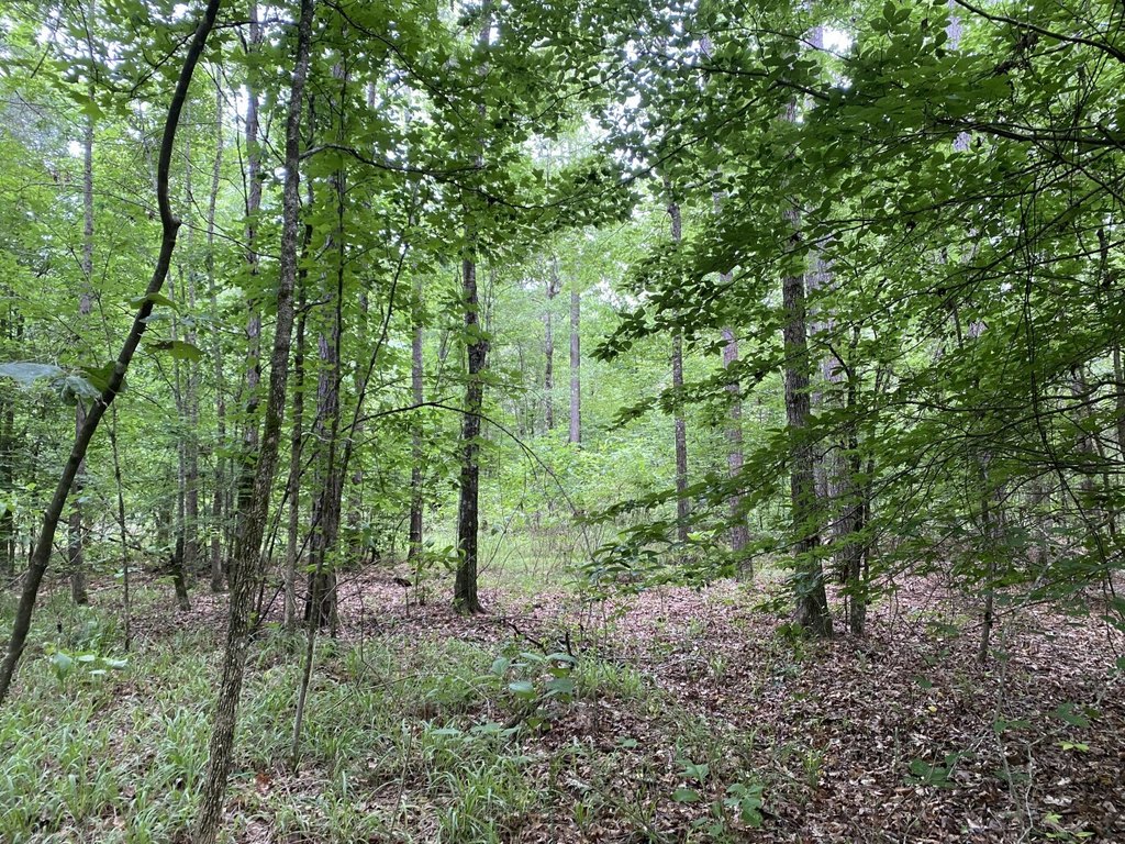 Picture 19