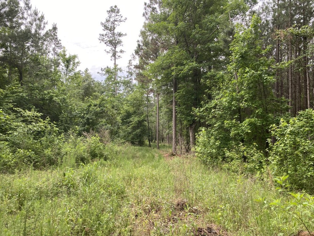 Picture 47