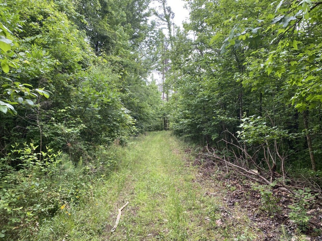 Picture 36