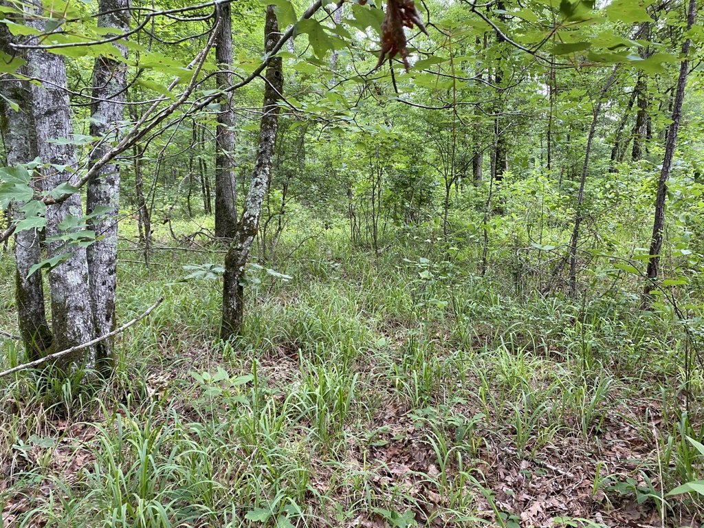 Picture 48