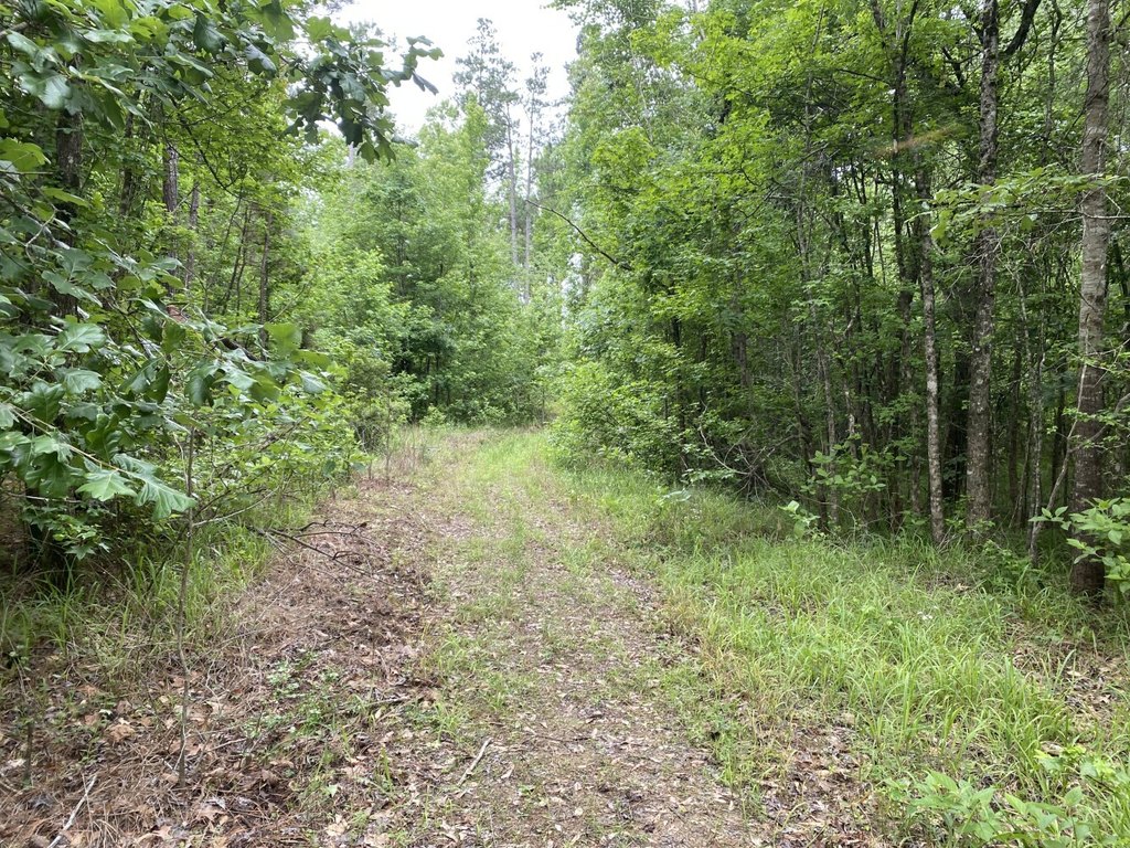 Picture 32