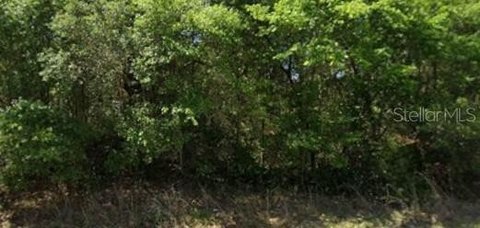 Land, DUNNELLON, FL