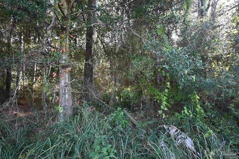 Waterview Homesite in Milton, Florida