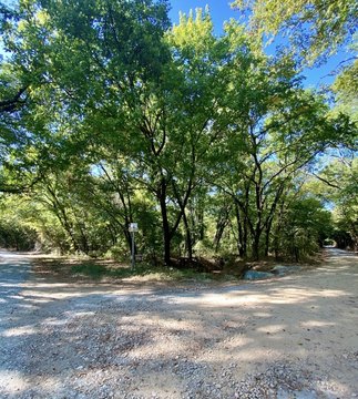 Wooded Waterfront Hunting Tract