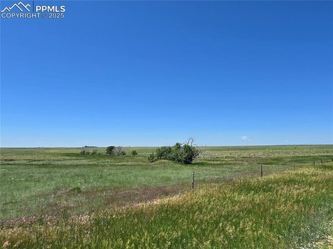 Simla, CO - 40 Acres Land
