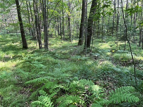 Vacant River Lot For Sale