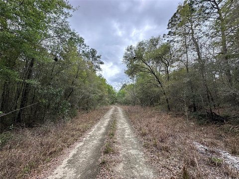 Agricultural/Rural Residential Building Lot