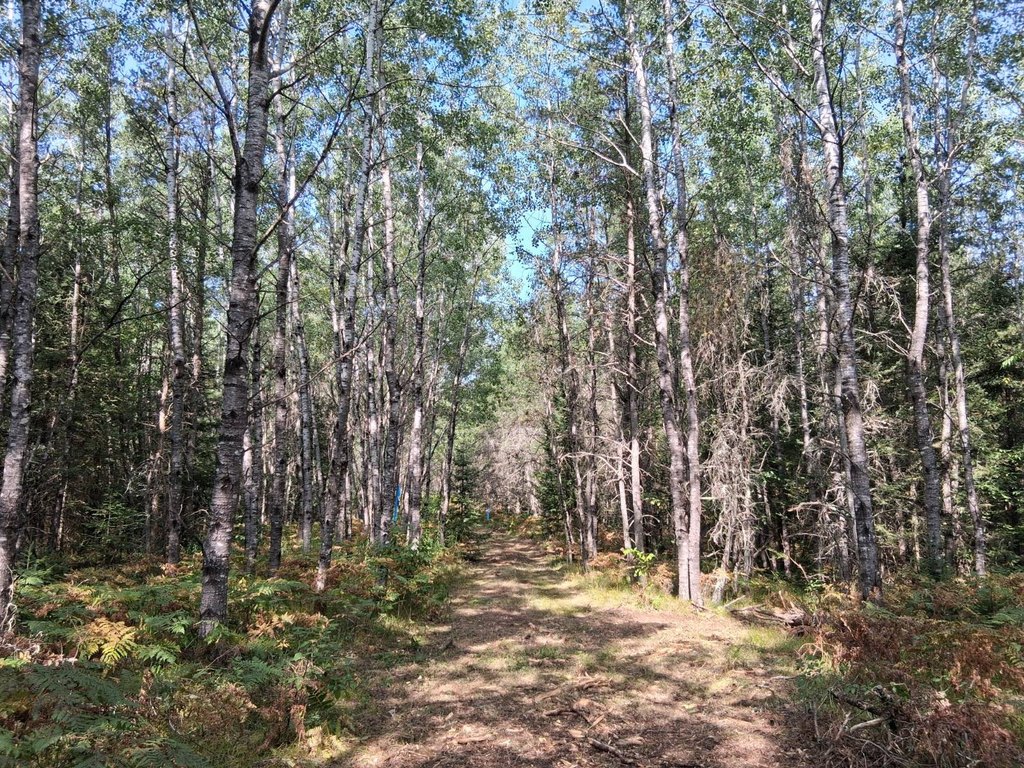 Picture 14