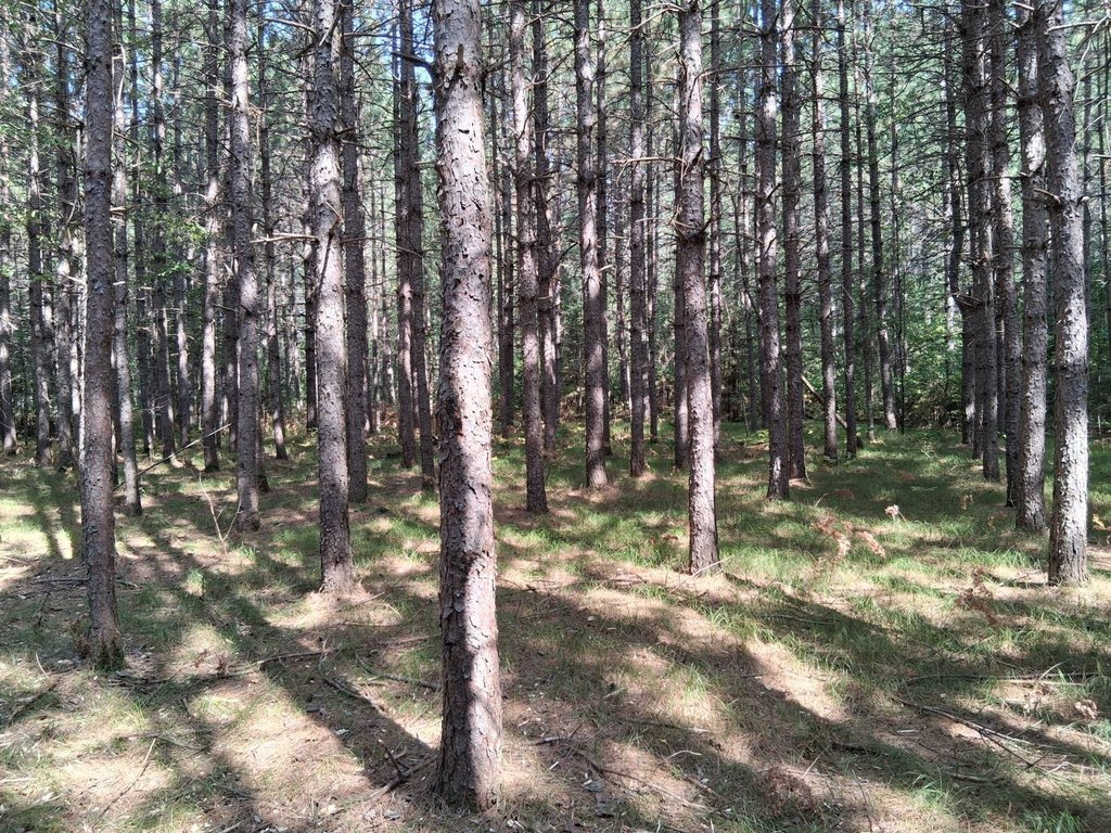 Picture 19