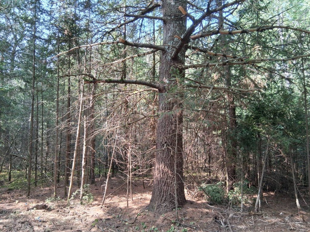 Picture 3