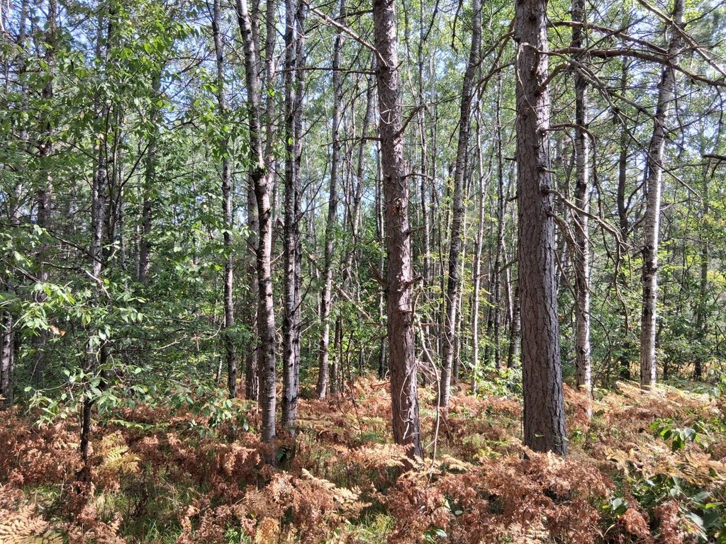 Picture 22