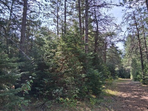 Land, Tomahawk, WI