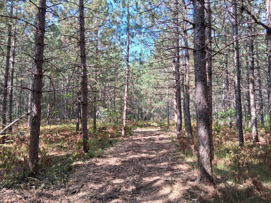 Picture 18
