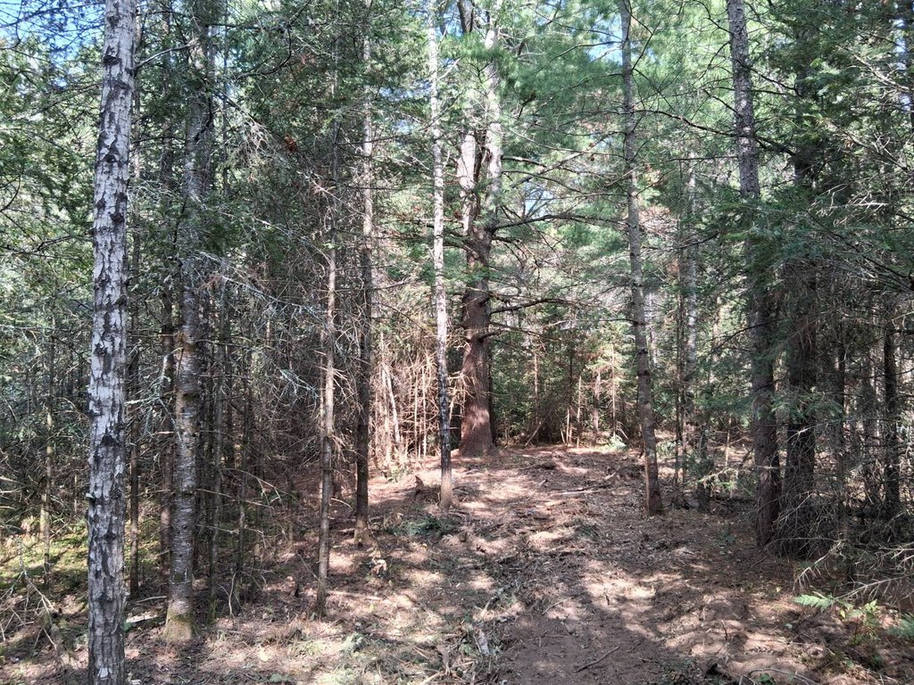 Picture 2