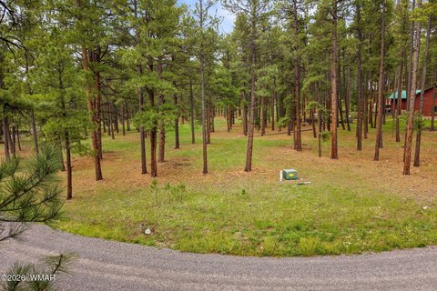 LAND - Greer, AZ