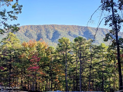 Lots & Acreage, Maryville, TN