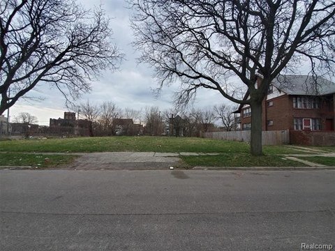 Detroit Land Infill Opportunity
