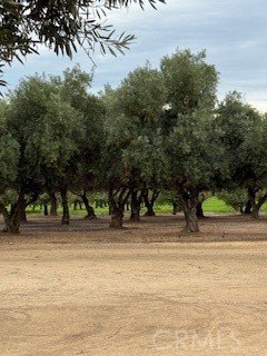 Residential Land with Mini Orchard