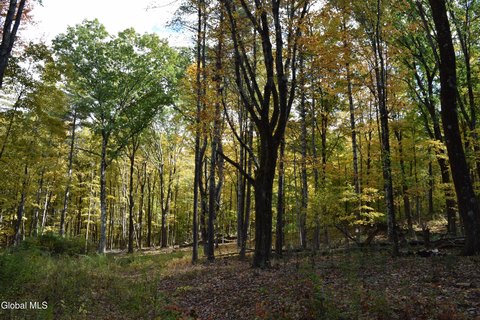 Land, Eagle Bridge, NY