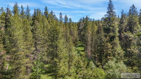 Wooded Lot Near Yellowstone Park