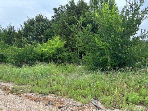 Grand Prairie Land Opportunity
